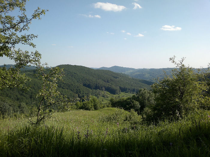 170620122039 - placerea de a face fotografii