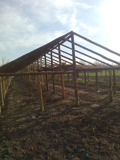 Fotografie0388 - F-solar legume din lemn in constructie