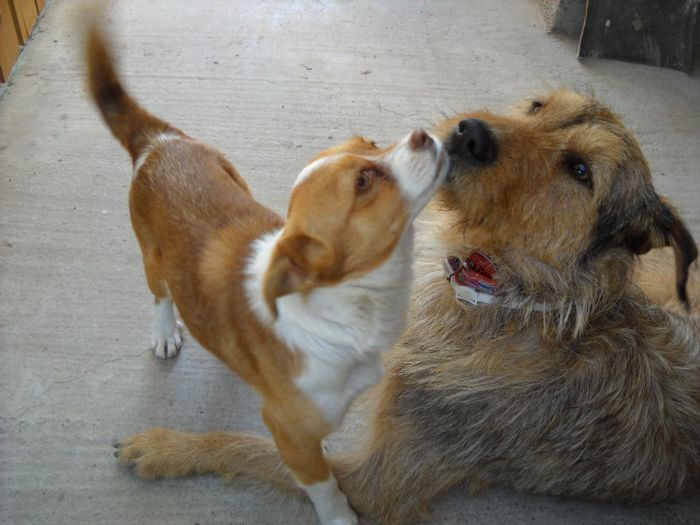 Foto170 028 - Cateii mei