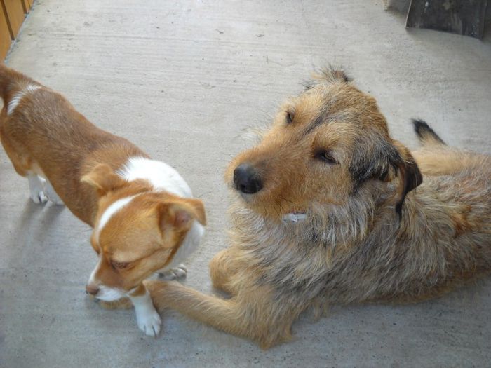 Foto170 032 - Cateii mei