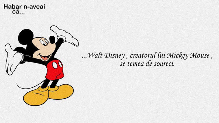 546627_197816610350014_928695631_n - xo_Doza de ras_xo