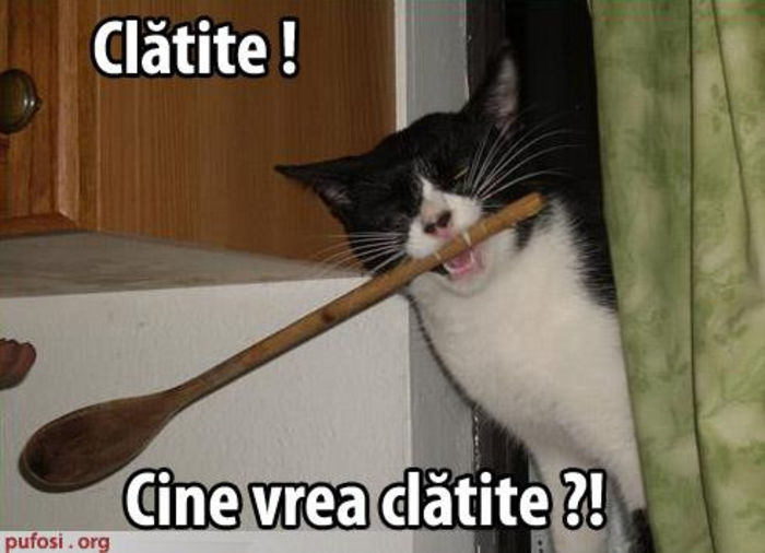 308495_294119077270638_1840684119_n - xo_Doza de ras_xo