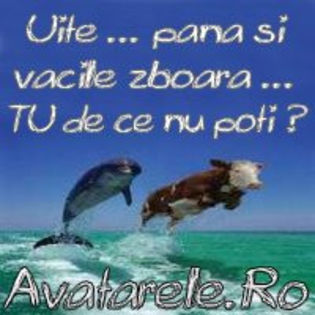 316820_294333220582557_4946882_n - xo_Doza de ras_xo