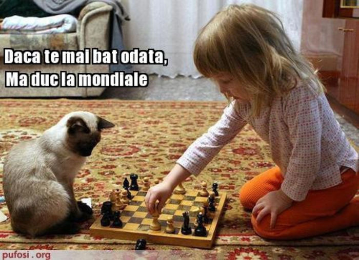 64683_401444463204765_2008018886_n - xo_Doza de ras_xo