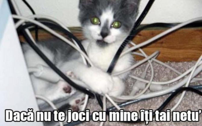 551215_406165906120418_363626051_n - xo_Doza de ras_xo