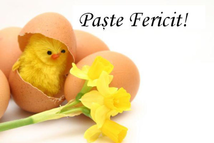  - Paste fericit