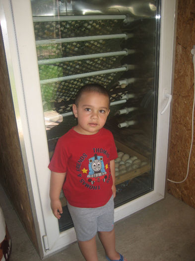  - Incubatoare profesionale