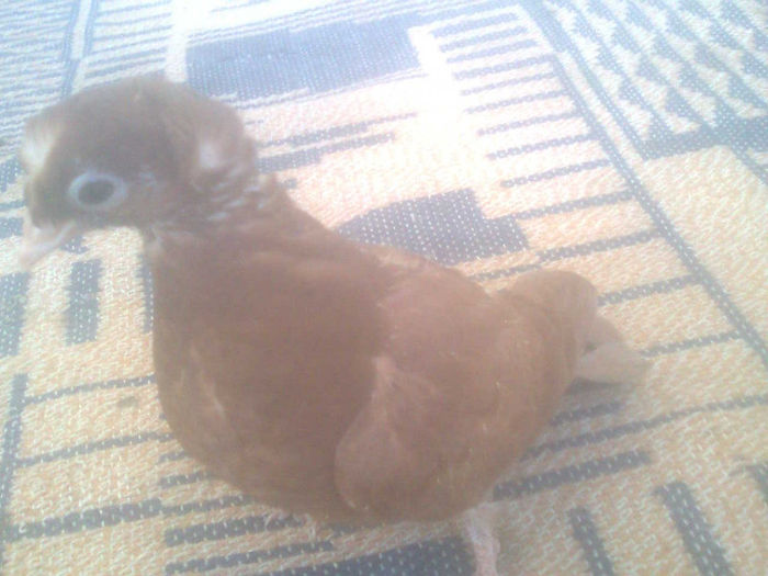 Image0542