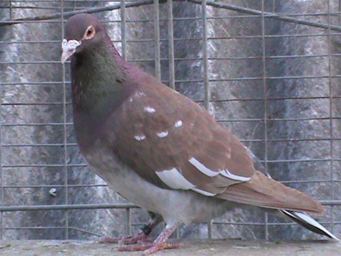 DSC00541