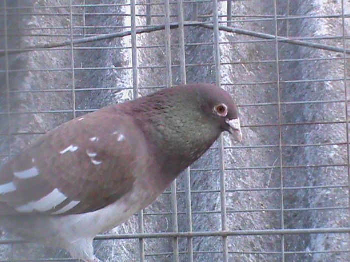 DSC00542