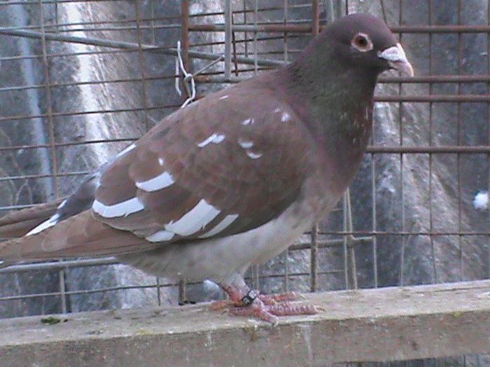 DSC00545