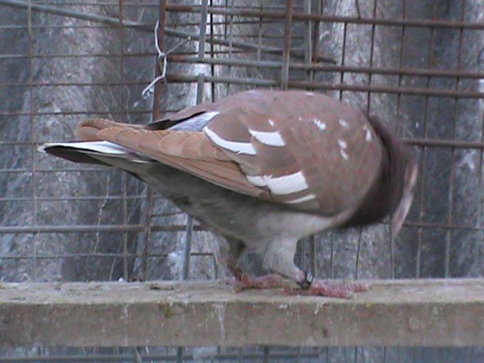 DSC00551