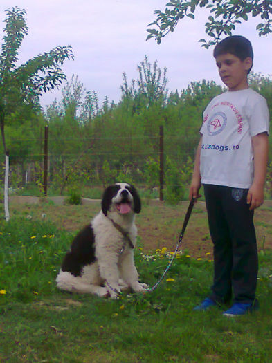 Photo2419 - Molda