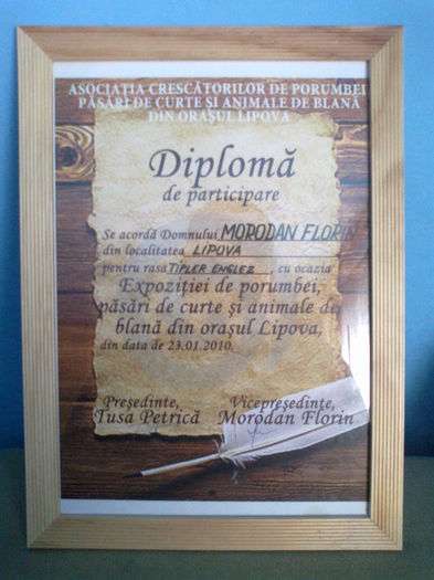 20042013582 - cupe si diplome