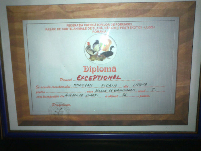 20042013585 - cupe si diplome