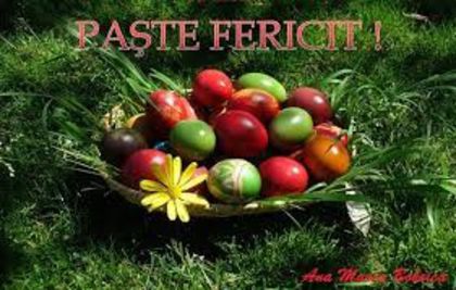 download (1) - paste fericit