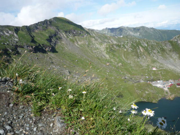 Bâlea Lac 5 - Transfagarasan