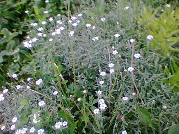 Fotogr.1149