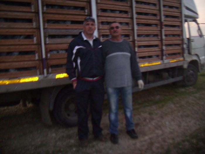 delegat la lansarea porumbeilor harghita 022