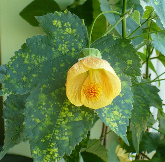 P1430498