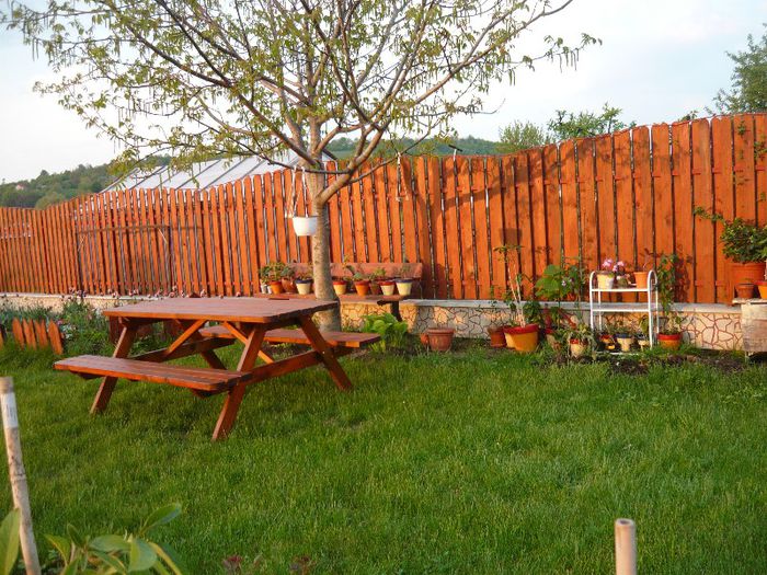 Picture 2001 - curtea primavara