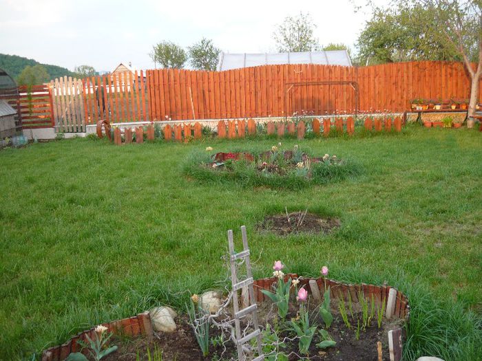 Picture 2005 - curtea primavara