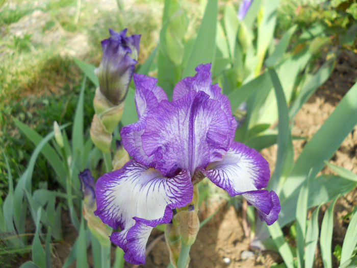 DSCN4356