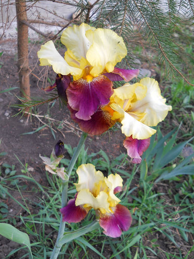 DSCN4378