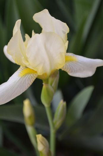 DSC_1051