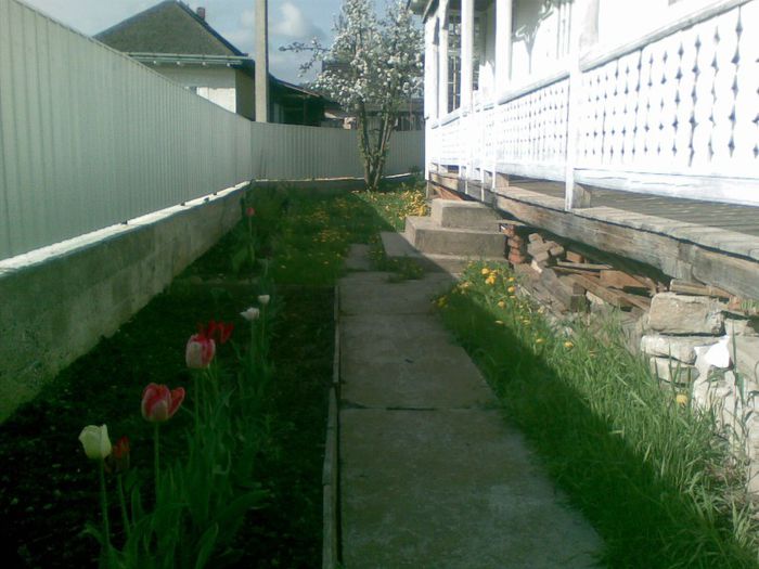 06052013(012)