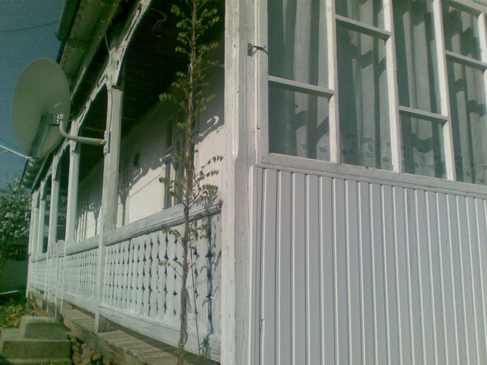 06052013(014) - florile mele