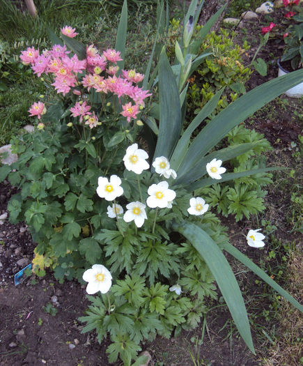 DSC03381