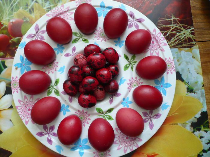 P1130940 - B PASTE FERICIT