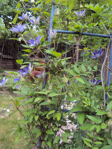 DSC03446
