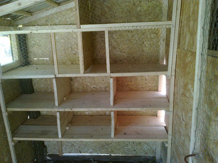 Voliera la germani !