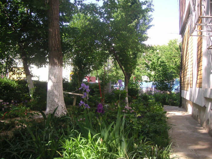 SANY0130