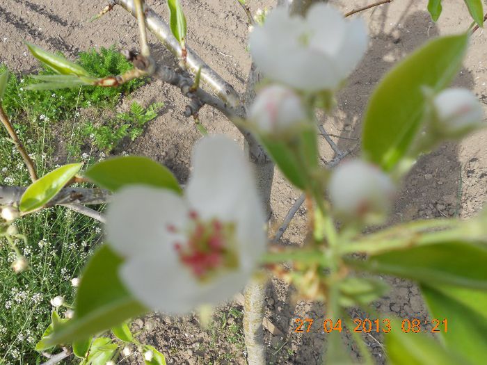 DSCN3026