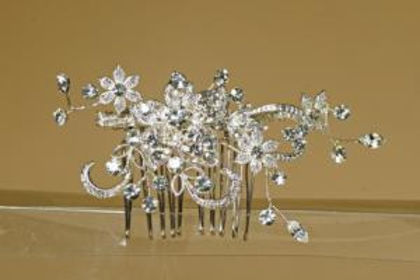 agrafa-par-bgonia_300_0