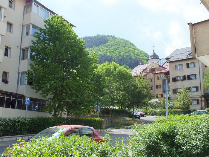 DSCF1138