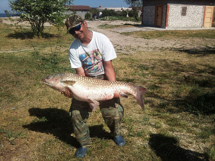 Photo1099 - la pescuit