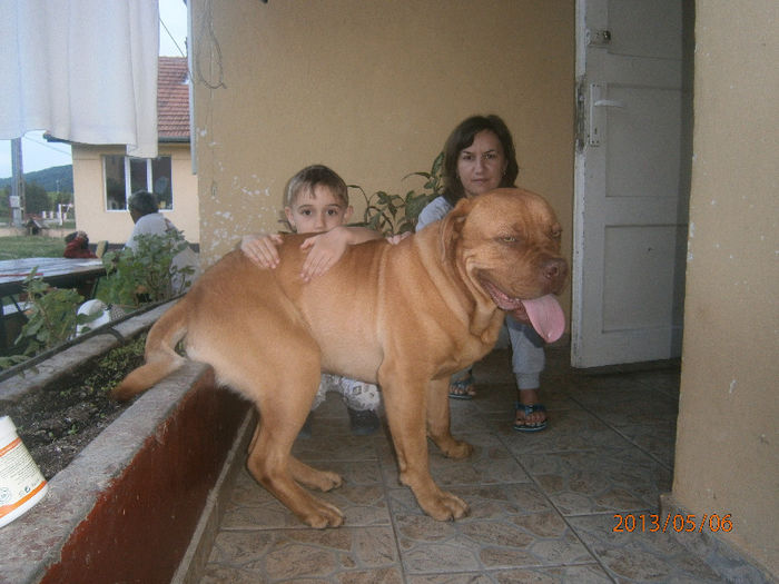 Spyke la 9 luni