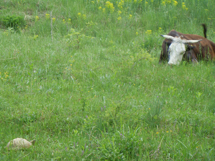 intalnirea titanilor :P