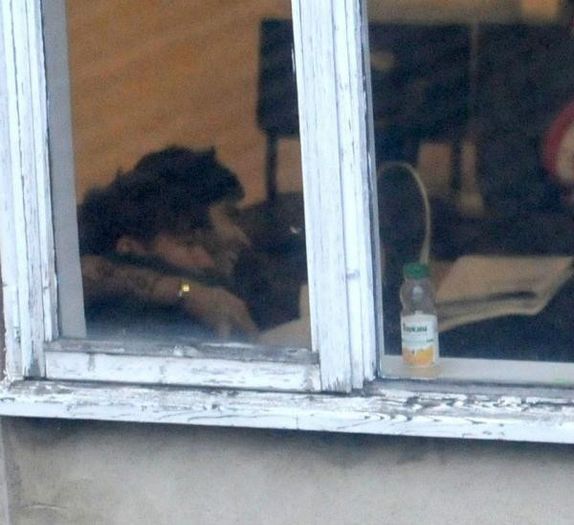 1D - 00 Poze One Direction rare 03