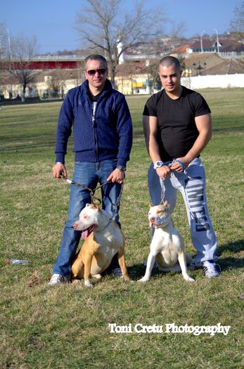 DSC_7001 - AMSTAFF SASHA