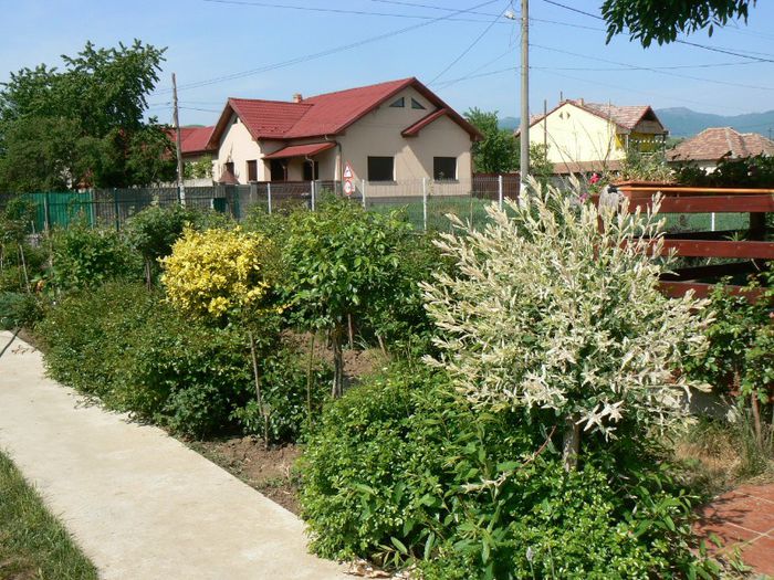 P1200151 - Gradina 2013