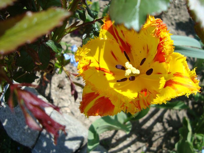 DSC04435