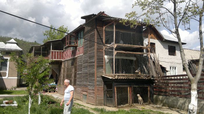 05052013077 - POZE ACASA CU FAMILIA