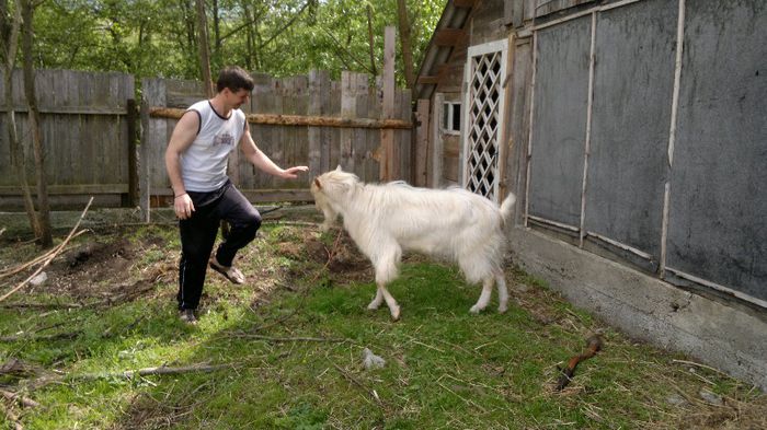 TAPUL NOSTRU CU FRATELE