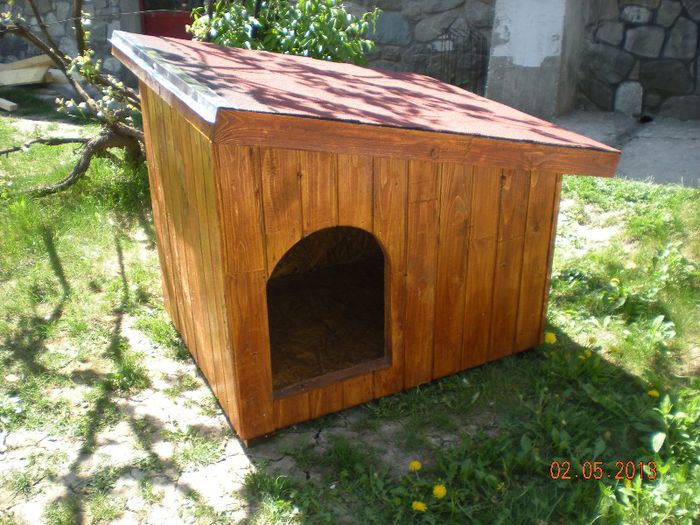 cusca caine din lemn izolata (1)