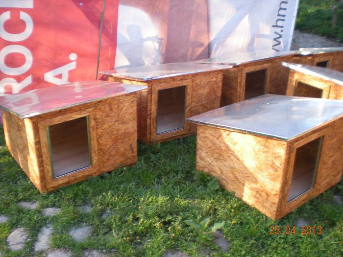 cusca caine din lemn neizolata (7)